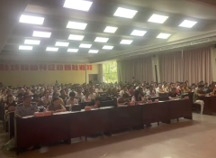 对发觉的违法违规行为依处置？